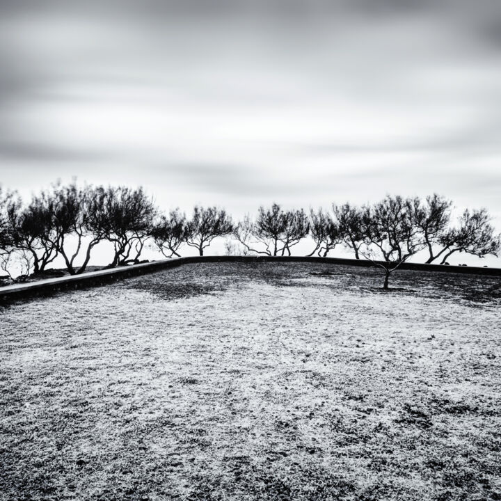 Fotografia zatytułowany „Group of trees over…” autorstwa Karim Carella, Oryginalna praca, Fotografia cyfrowa