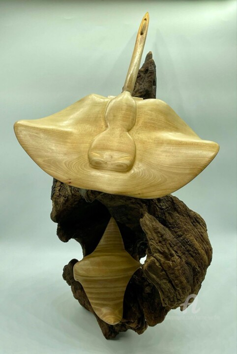 Sculpture titled "Raie Pastenague et…" by Karine Verdier, Original Artwork, Wood