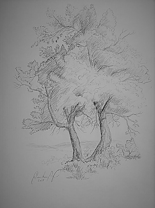Malerei mit dem Titel "Two Maple Trees By…" von Karl-Werner Gerstner, Original-Kunstwerk, Bleistift