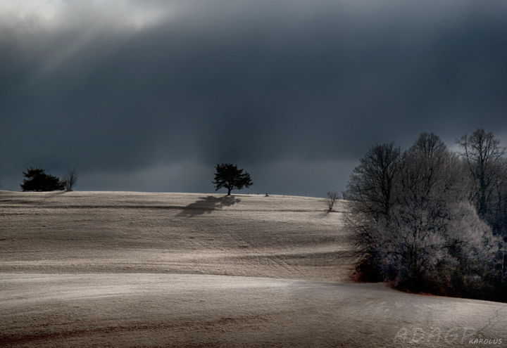 Photographie intitulée "L'arbre sous le sol…" par Karolus, Œuvre d'art originale