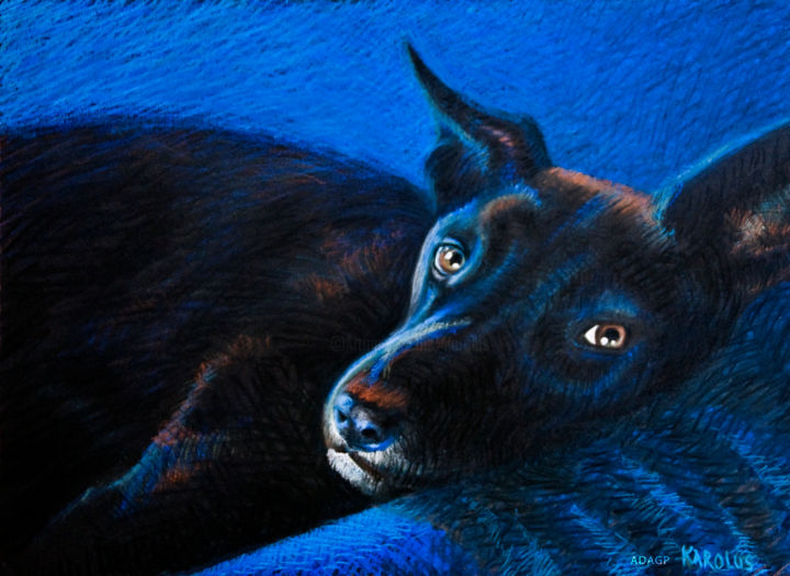 Painting titled "Portrait animalier,…" by Karolus, Original Artwork, Pastel