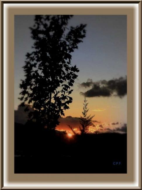 Photography titled "autumnal sky" by Carmen Pelletier Fontán, Original Artwork