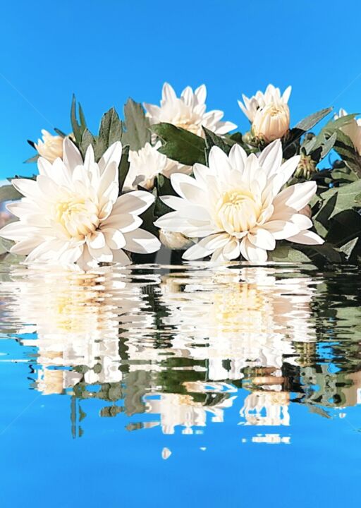 Photographie intitulée "Reflet Chrysanthème…" par Kasiopea, Œuvre d'art originale, Photographie numérique
