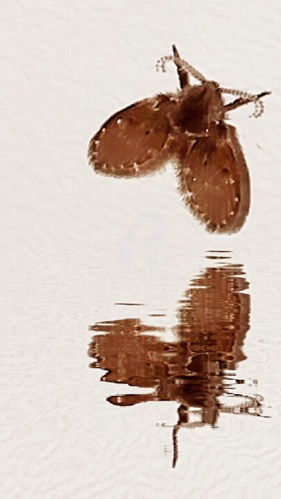 Fotografía titulada "Reflet marron ©" por Kasiopea, Obra de arte original, Fotografía digital