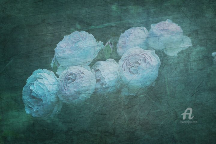 Digitale Kunst getiteld "Niebieskie róże" door Katarzyna Dziemidowicz, Origineel Kunstwerk, Foto Montage