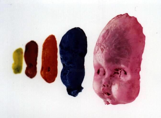 Photography titled ""Doll Face Color Li…" by Kate Uhrich, Original Artwork