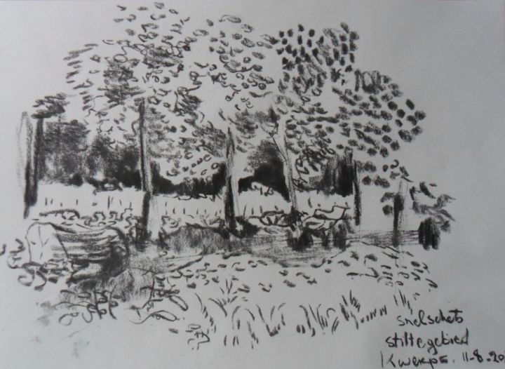 Drawing titled "stiltegebied Kwerps" by Katelijne Hanssen, Original Art, Charcoal