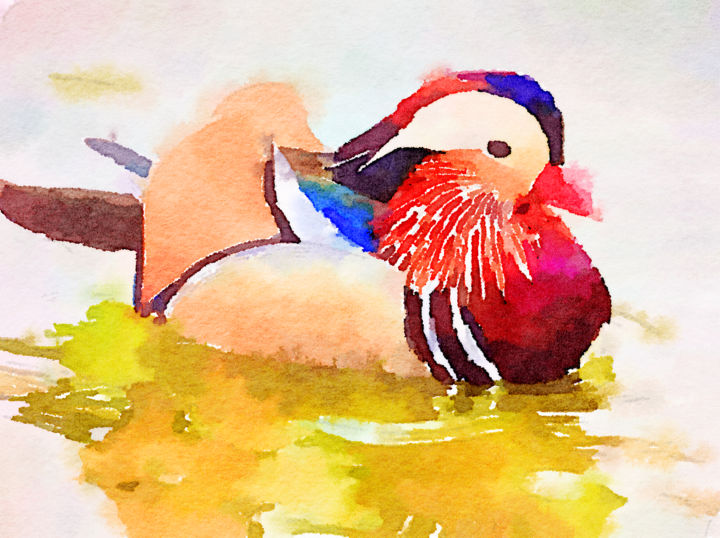 Pintura intitulada "Mandarin duck" por Kath Sapeha, Obras de arte originais, Aquarela