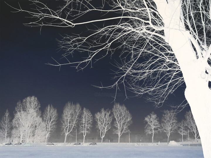 Digital Arts titled "winter trees in Ber…" by Katherine Lee, Original Artwork, 2D Digital Work