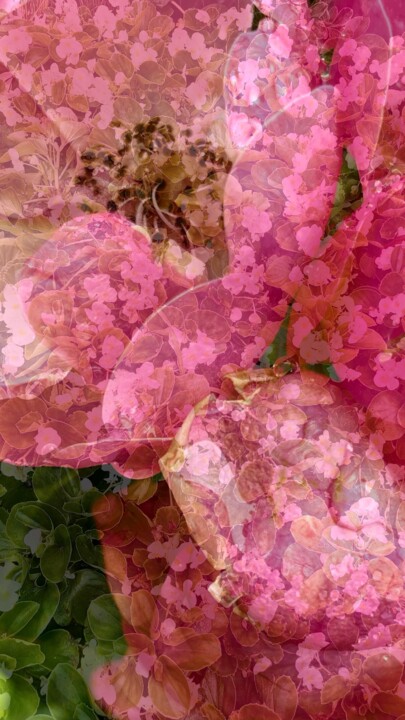 Arte digital titulada "Spring flowers afte…" por Katherine Lee, Obra de arte original, Trabajo Digital 2D