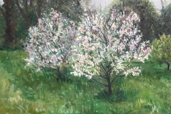 Pittura intitolato "Apple Blossom" da Katie O'Looney, Opera d'arte originale, Olio Montato su Telaio per barella in legno