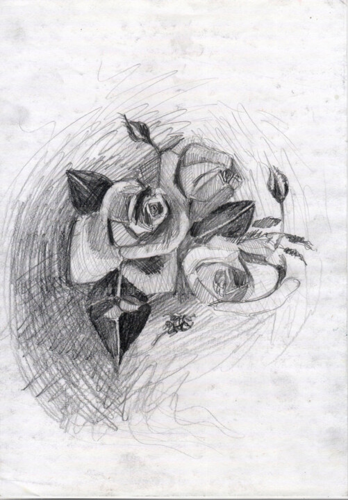 Dessin intitulée "Rose" par Katwrina Golban, Œuvre d'art originale, Crayon