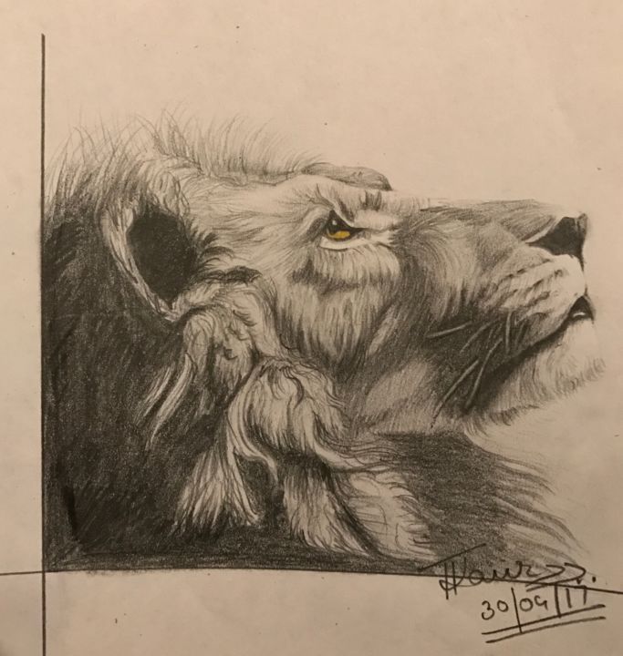 Drawing titled "Majesty" by Tanvir Kaur, Original Artwork, Pencil