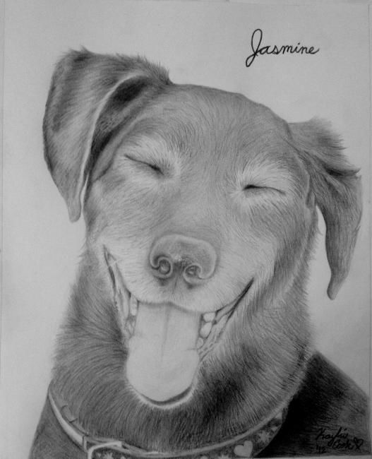 Drawing titled "Jasmine (Personal D…" by Kay Cook, Original Artwork, Other