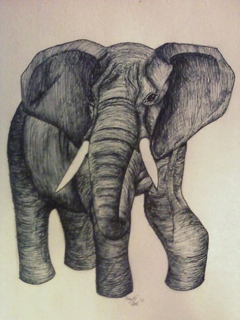 Drawing titled "Elephant" by Kay Cook, Original Artwork, Other