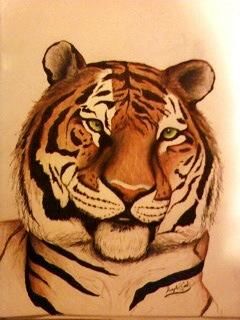 Drawing titled "Tiger Portrait" by Kay Cook, Original Artwork, Other