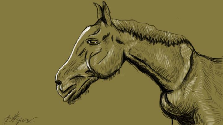 Digital Arts titled "Horse" by Kazım Akpınar, Original Artwork, 2D Digital Work