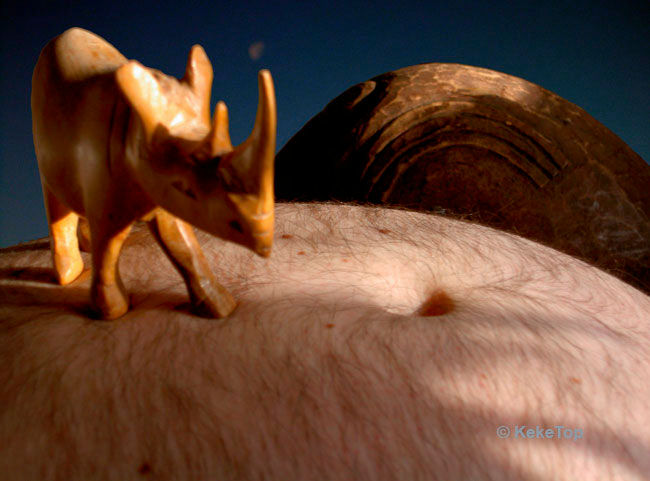 Photography titled "Rhinoceros in Love" by Top Keke, Original Artwork
