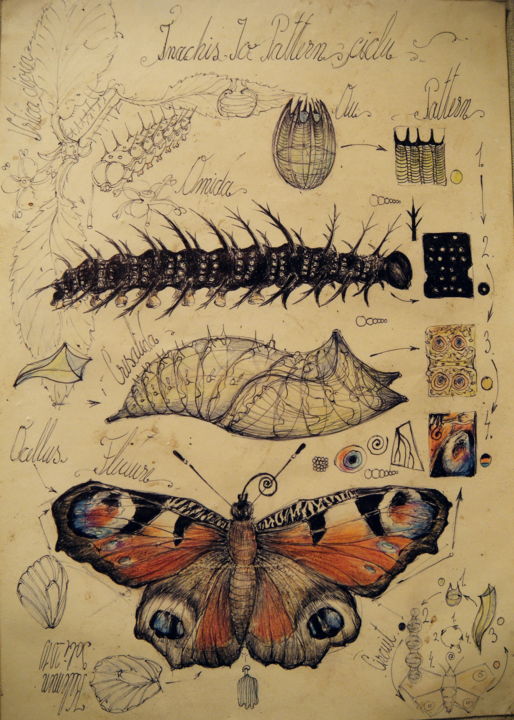Drawing titled "15-animal-pattern-f…" by Gabriel Kelemen, Original Artwork