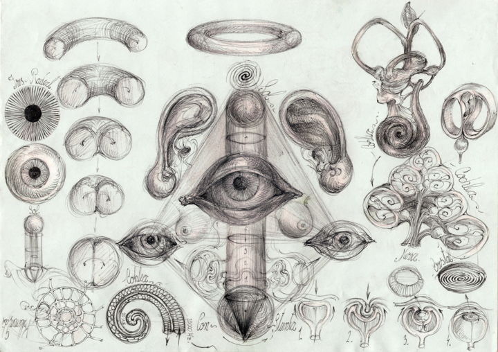 Dibujo titulada "85-algoritm-simboli…" por Gabriel Kelemen, Obra de arte original, Bolígrafo