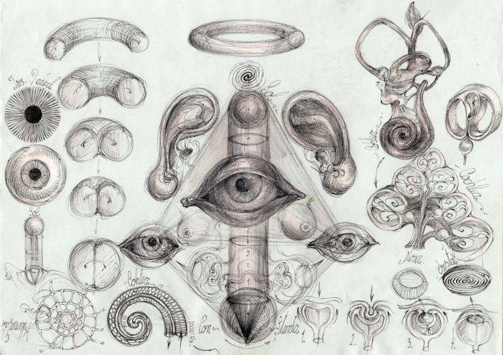 Drawing titled "85-algoritm-simboli…" by Gabriel Kelemen, Original Art, Ballpoint pen