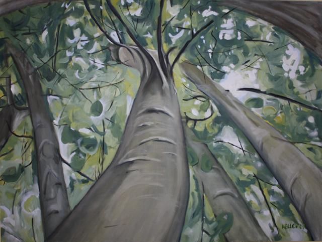 Malerei mit dem Titel "Beech Canopy" von Nick Kelleher, Original-Kunstwerk