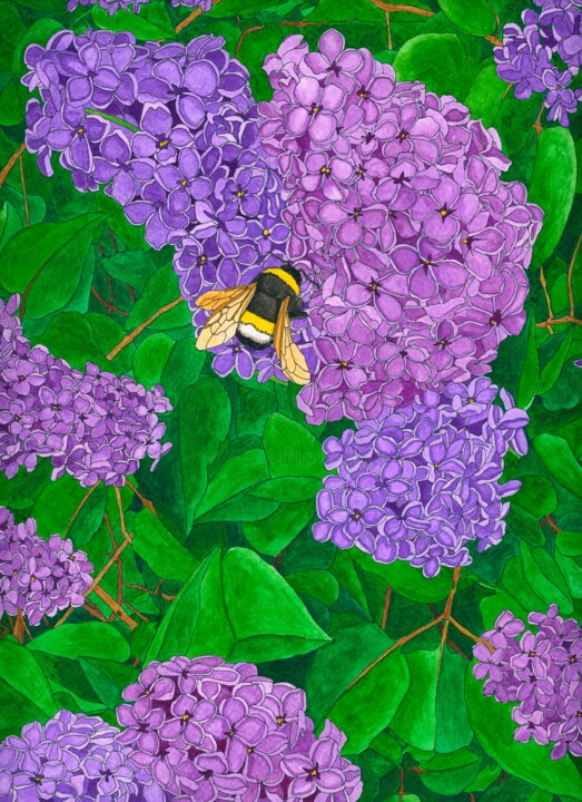 Pintura intitulada "Lilacs" por Kelley Hudson, Obras de arte originais, Aquarela