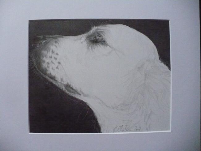 Drawing titled "Aloof!" by Kelly Brown, Original Artwork