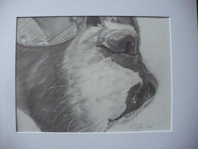 Drawing titled "Cool Boxer!" by Kelly Brown, Original Artwork