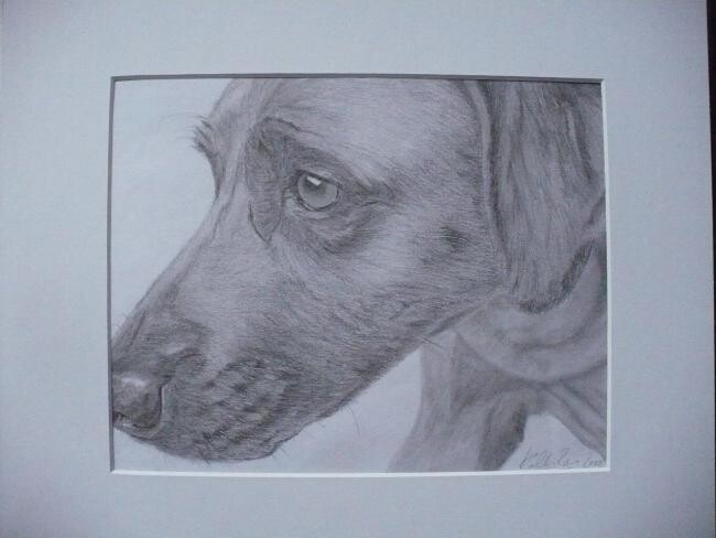 Drawing titled "serious!!" by Kelly Brown, Original Artwork