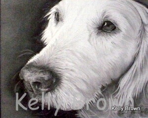 Drawing titled "Golden Retriever" by Kelly Brown, Original Artwork