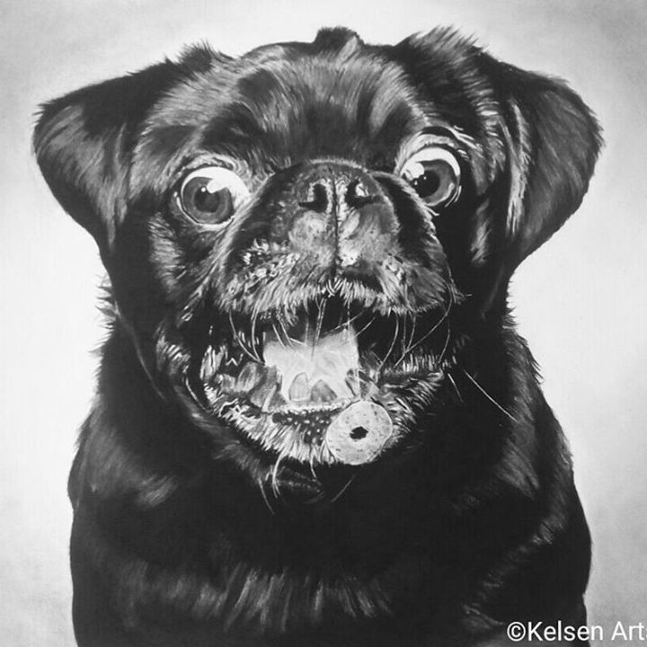 Drawing titled "'SATISFACTION ' (Or…" by Kelsen Arts, Original Art, Charcoal