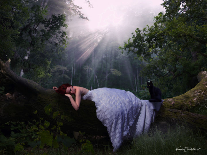 Digital Arts titled "Forest dreams" by Kenneth Brakefield, Original Artwork, Digital Painting
