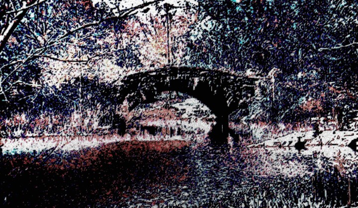 "Central Park - Bow…" başlıklı Fotoğraf Ken Lerner tarafından, Orijinal sanat, Dijital Fotoğrafçılık