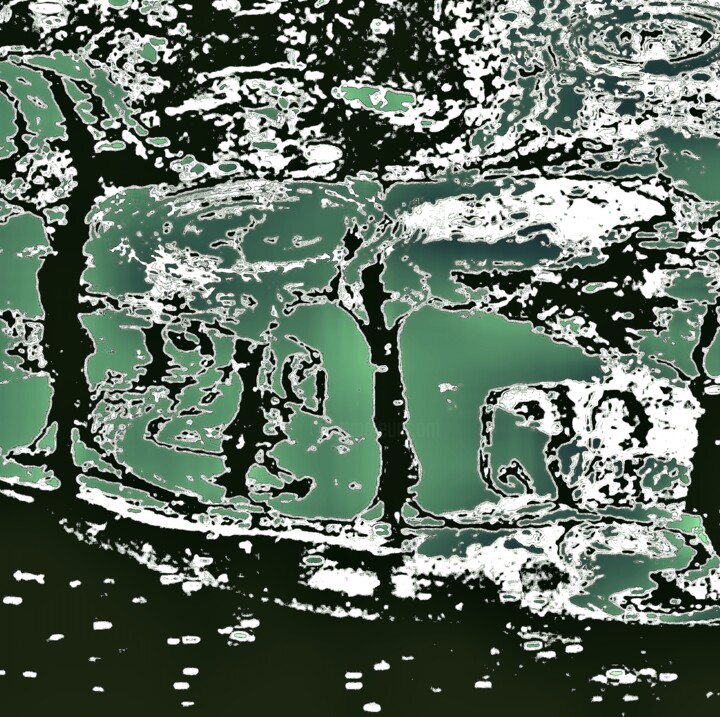 Фотография под названием "A Storm in Dali's F…" - Ken Lerner, Подлинное произведение искусства, Цифровая фотография