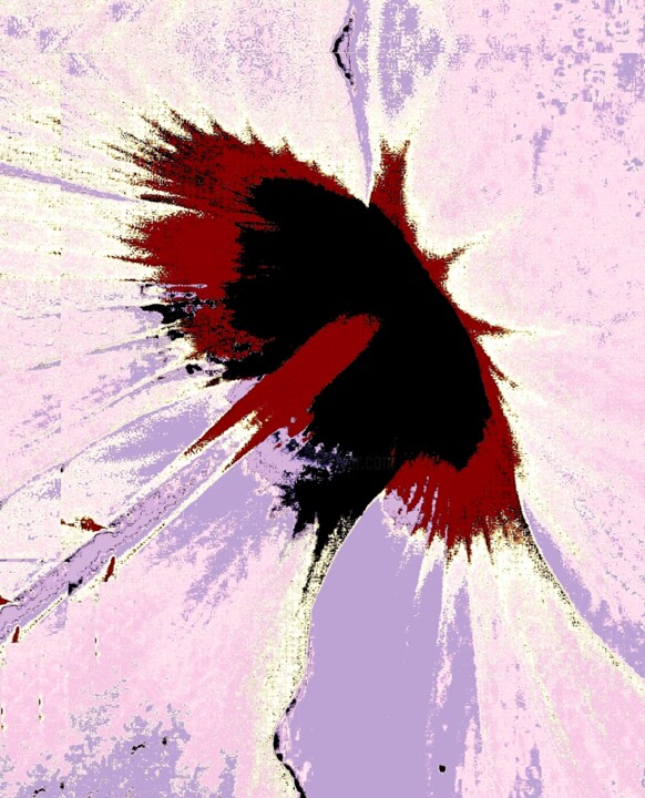 Photographie intitulée "Hibiscus 1w6b2" par Ken Lerner, Œuvre d'art originale, Photographie numérique