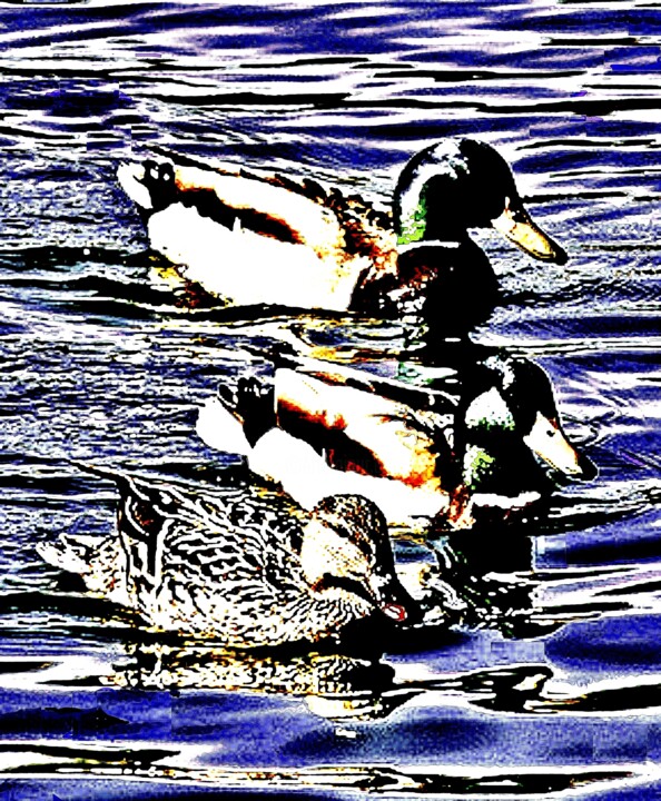 Photography titled "Ducks 100b" by Ken Lerner, Original Artwork, Digital Photography