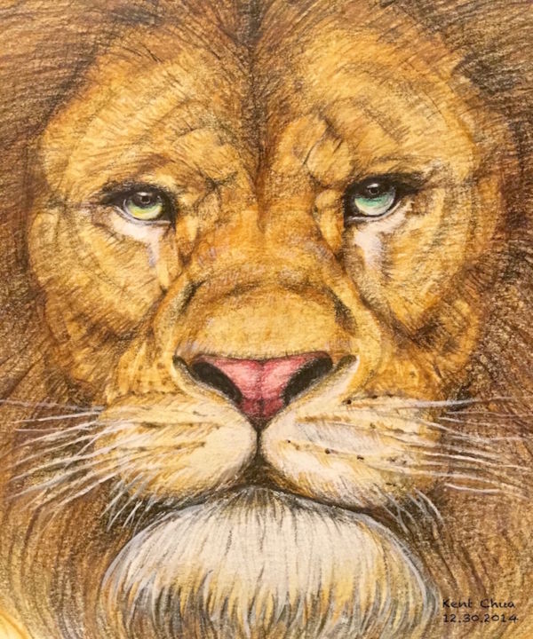 Drawing titled "The Regal Lion" by Kent Chua, Original Art, Other