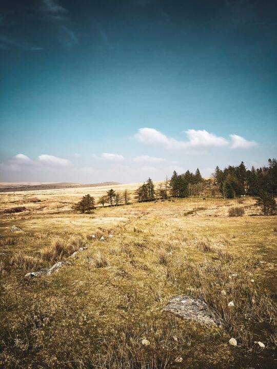 Photographie intitulée "Dartmoor 2022, III" par Kerry Gerdes, Œuvre d'art originale, Photographie numérique