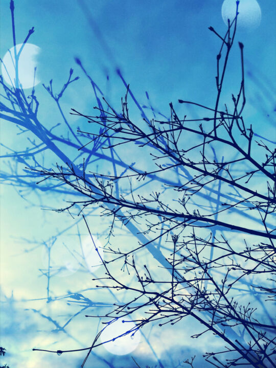 Фотография под названием "Winter" - Kerry Gerdes, Подлинное произведение искусства, Манипулированная фотография