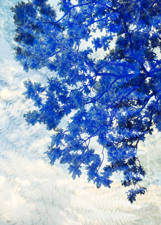 Фотография под названием "Summer sky" - Kerry Gerdes, Подлинное произведение искусства, Цифровая фотография