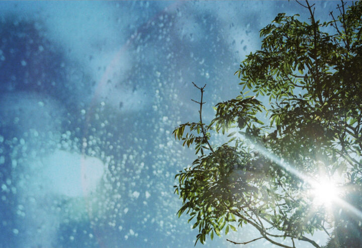 Fotografie getiteld "Sun through trees" door Kerry Gerdes, Origineel Kunstwerk, Gemanipuleerde fotografie