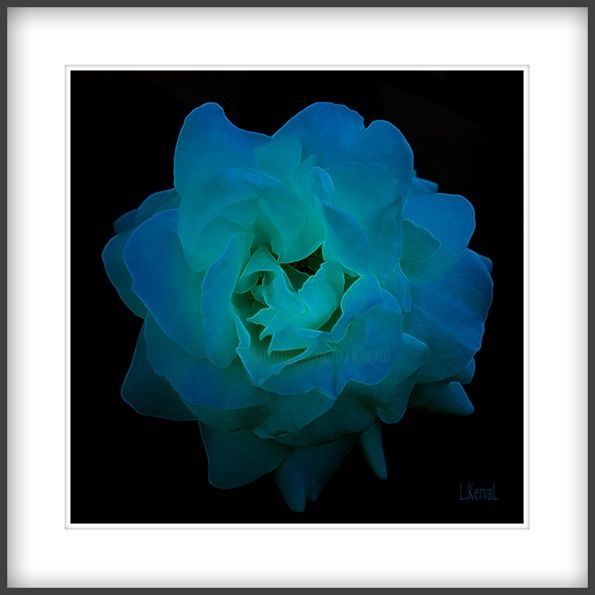 Arts numériques intitulée "Rose de fée" par L Kerval, Œuvre d'art originale, Peinture numérique