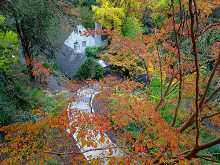 Photography titled "Fall Color at Leach…" by Kevin Felts, Original Artwork, Digital Photography