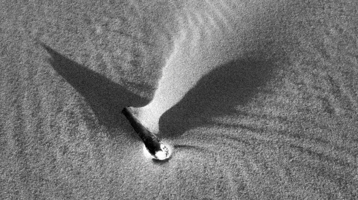 Photography titled "Sand Bird" by Kevin Felts, Original Artwork, Digital Photography