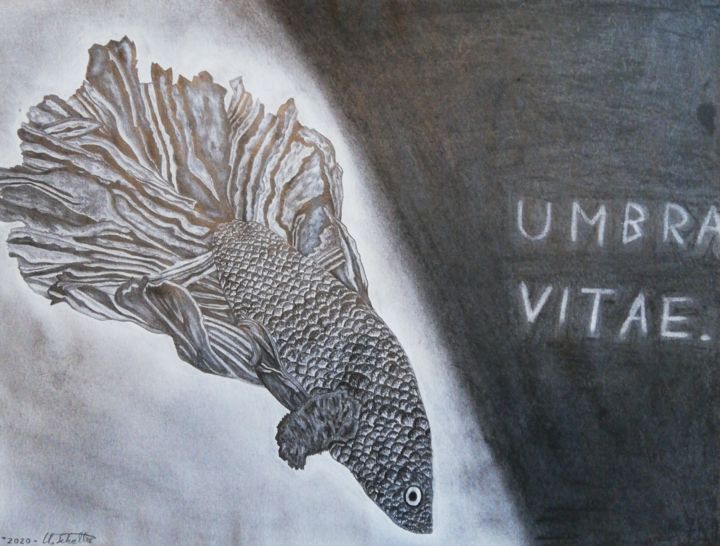 Dessin intitulée "Umbra vitae" par Kevin Schaller, Œuvre d'art originale, Crayon