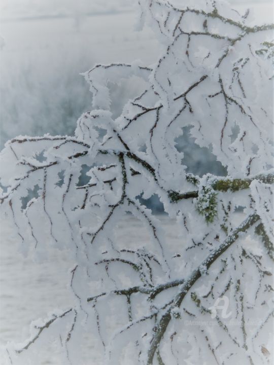 Photography titled "frozen maze" by Bénédicte Keymeulen (LaraKey), Original Artwork, Digital Photography