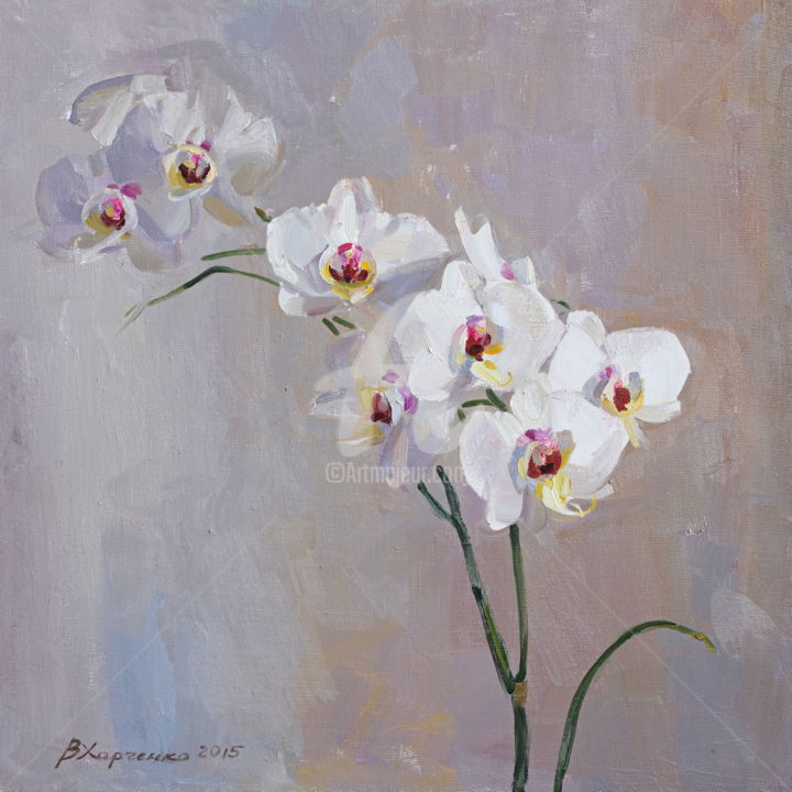 Painting titled "White orchid" by Valeriy Kharchenko, Original Artwork