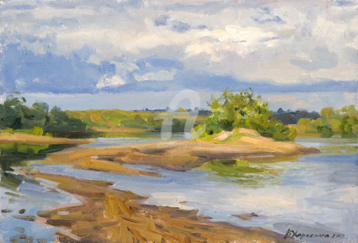 Painting titled "On a sandy shallow" by Valeriy Kharchenko, Original Artwork, Oil
