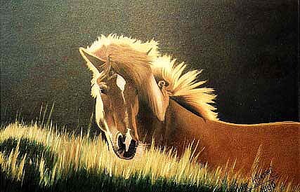 Painting titled "HORSE" by Khatri Aamir, Original Artwork